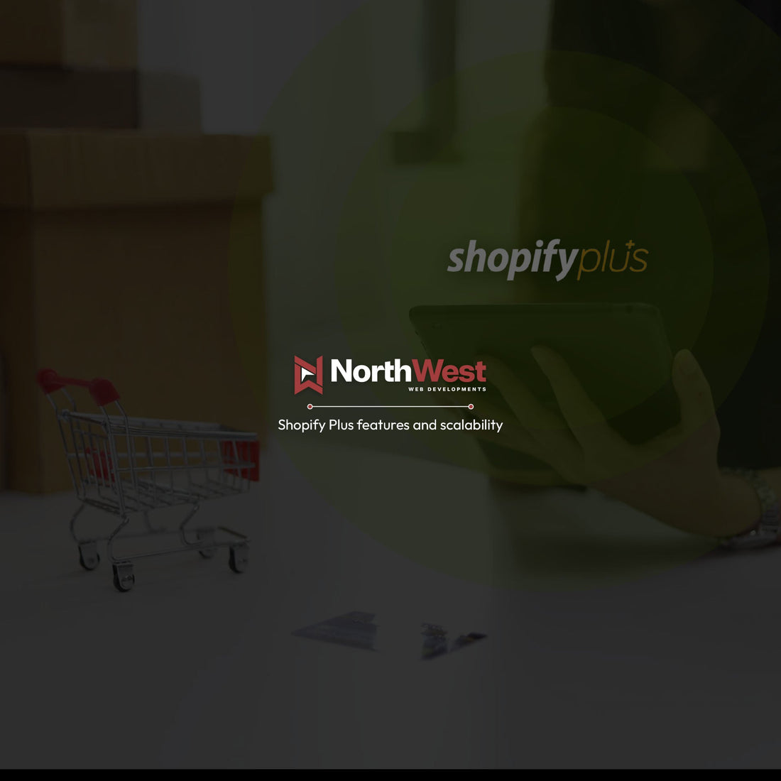 Upgrading to Shopify Plus and Why It Saves You Time and Money