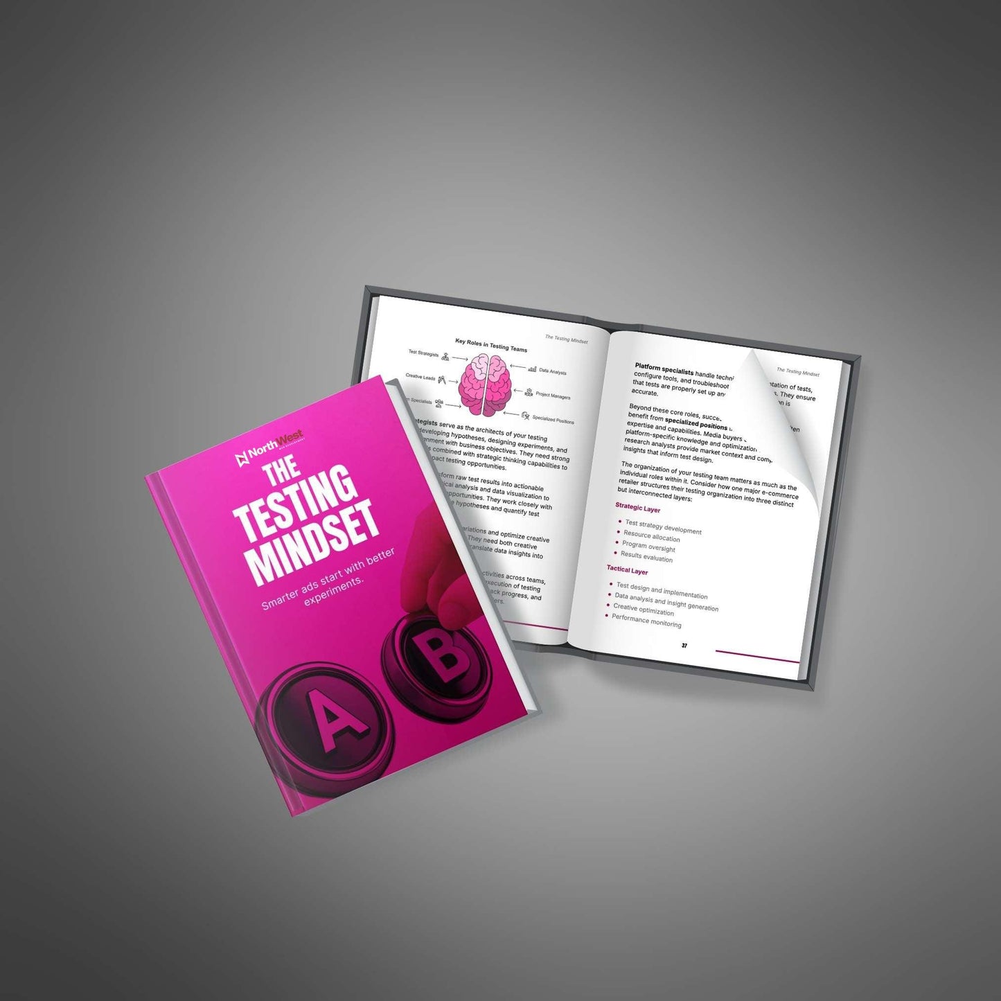 The Testing Mindset